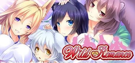 【PC/2D/ACT/中文】蒂法游戏：黑暗城的幻想Dark City Fantasy V1.0 DL官中版【1G】